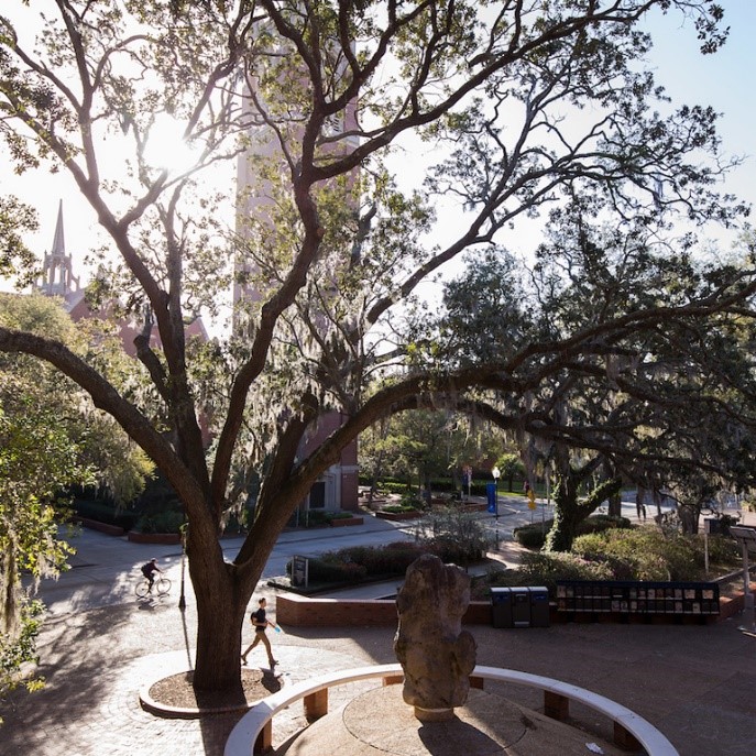 A large, moss-draped tree frames a sunny university campus quad, showing a brick bell tower, historic buildings, and students walking and biking on paved paths.